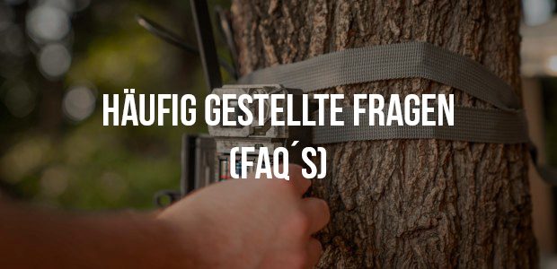 Häufig gestellte Fragen (FAQ´S) D