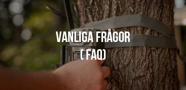 Häufig gestellte Fragen (FAQ´S) SE