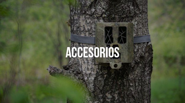 Accesorios